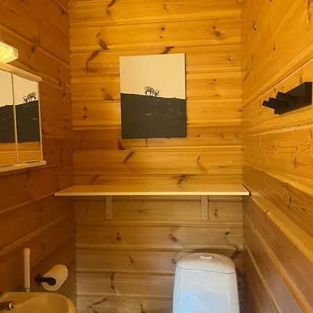 Koivulehto 8b *